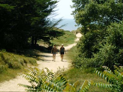 La Forêt Pays de Loire - Saint-Jean-de-Monts visuel 5/11 La Forêt Pays de Loire - Saint-Jean-de-Monts visuel 5/11