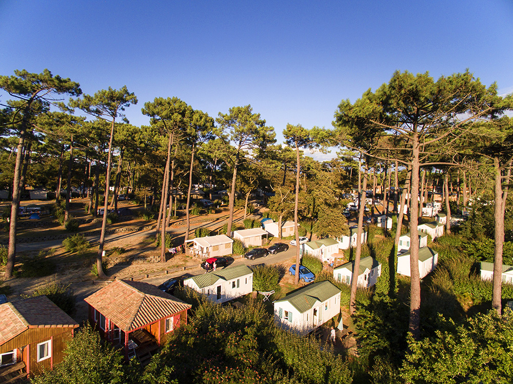 La Forêt Aquitaine - Pyla aan zee visuel 17/25 La Forêt Aquitaine - Pyla aan zee visuel 17/25