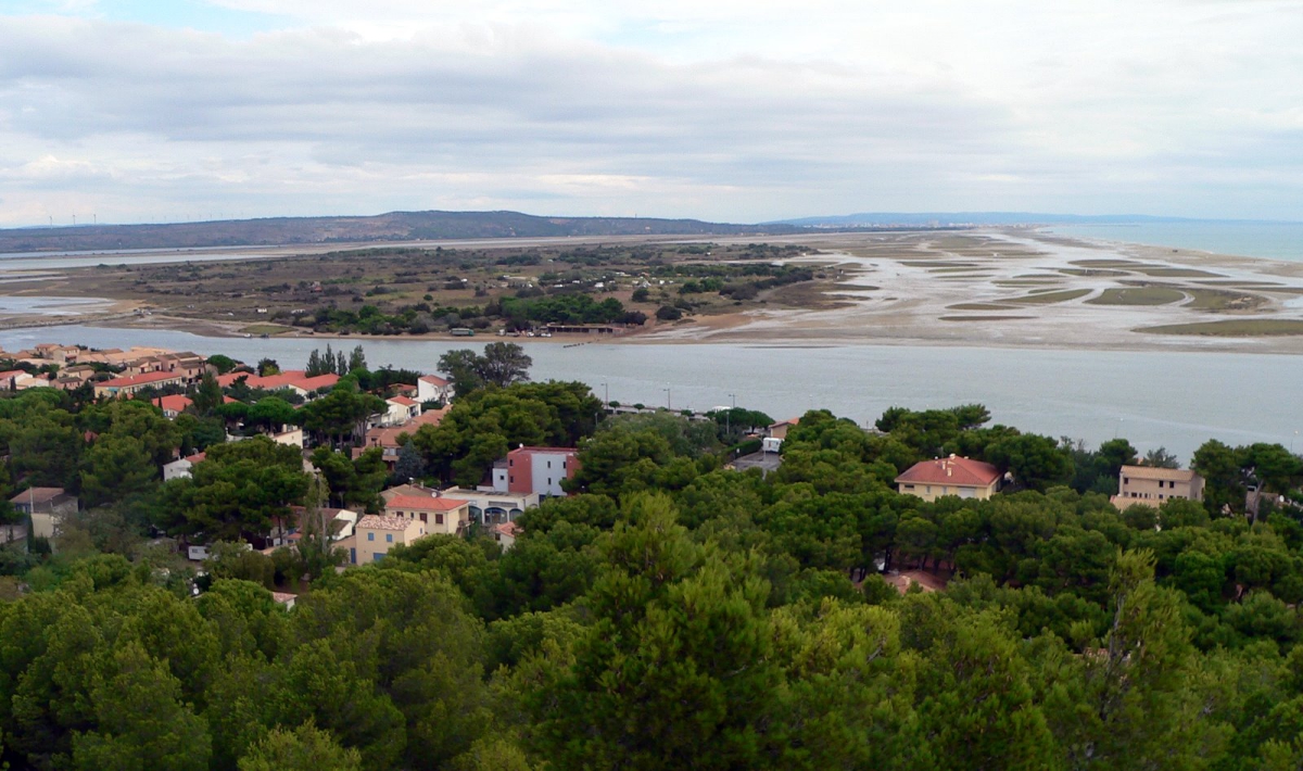 Domaine Presqu'île de la Franqui Languedoc-Roussillon - Leucaat visuel 1/1 Domaine Presqu'île de la Franqui Languedoc-Roussillon - Leucaat visuel 1/1