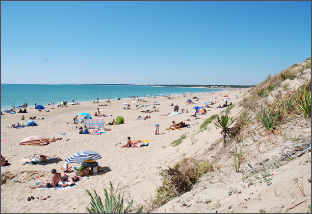 LA FRETILLE Pays de Loire - Longeville aan zee visuel 6/11 LA FRETILLE Pays de Loire - Longeville aan zee visuel 6/11
