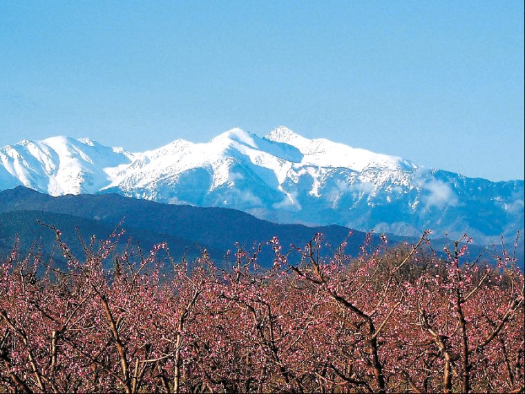 La Garenne Languedoc-Roussillon - Néfiach visuel 7/8 La Garenne Languedoc-Roussillon - Néfiach visuel 7/8