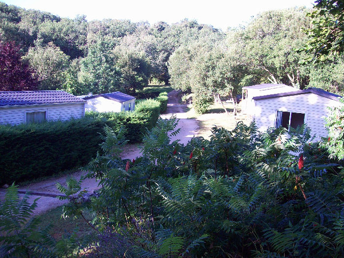 La Garrigue Midi-Pyreneën - Loubressac visuel 2/10 La Garrigue Midi-Pyreneën - Loubressac visuel 2/10