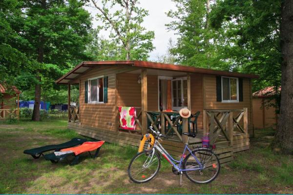 La Grande Tortue Groot-Centrum - Candé-sur-Beuvron visuel 6/9 La Grande Tortue Groot-Centrum - Candé-sur-Beuvron visuel 6/9