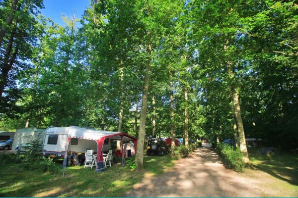 La Grande Tortue Groot-Centrum - Candé-sur-Beuvron visuel 7/9 La Grande Tortue Groot-Centrum - Candé-sur-Beuvron visuel 7/9