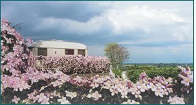 Meursault Bourgogne - Meursault visuel 8/10 Meursault Bourgogne - Meursault visuel 8/10