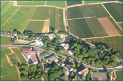 Meursault Bourgogne - Meursault visuel 10/10 Meursault Bourgogne - Meursault visuel 10/10