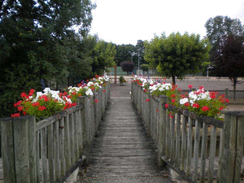 La Gravière du Moulin Bourgogne - Lézinnes visuel 8/10 La Gravière du Moulin Bourgogne - Lézinnes visuel 8/10