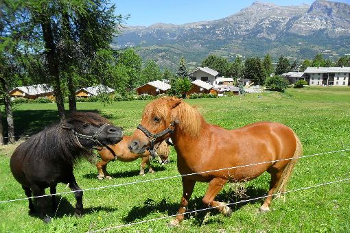 La Pause Provence-Alpes-Côte d'Azur - Saint-Léger-les-Mélèzes visuel 9/9 La Pause Provence-Alpes-Côte d'Azur - Saint-Léger-les-Mélèzes visuel 9/9