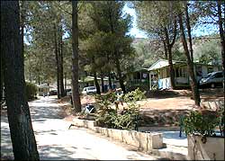 La Pinede Corsica - Saint-Florent visuel 1/3