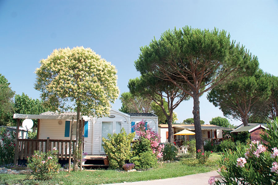 LA PINEDE Provence-Alpes-Côte d'Azur - Grimaud visuel 1/1 LA PINEDE Provence-Alpes-Côte d'Azur - Grimaud visuel 1/1