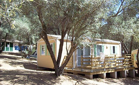 La Sposata Corsica - Vico visuel 1/1