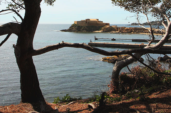 LE PARC Provence-Alpes-Côte d'Azur - Hyères visuel 6/11 LE PARC Provence-Alpes-Côte d'Azur - Hyères visuel 6/11