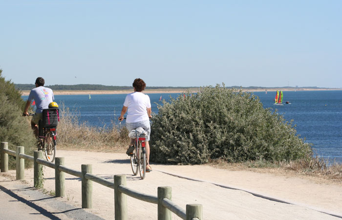 La Trévillière Pays de Loire - Brétignolles-sur-Mer visuel 12/12 La Trévillière Pays de Loire - Brétignolles-sur-Mer visuel 12/12