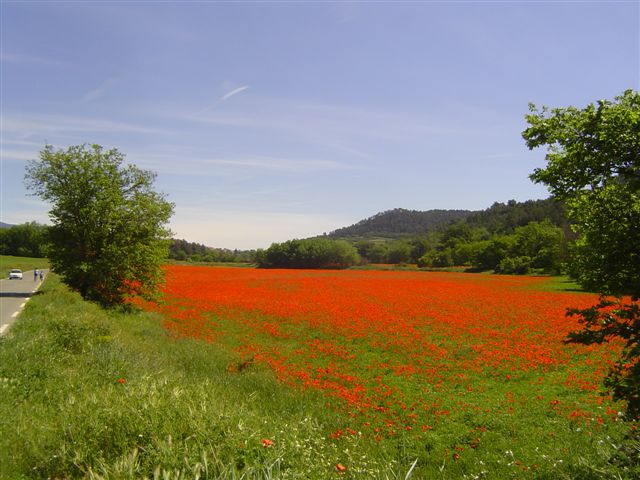 L'Air du Temps Provence-Alpes-Côte d'Azur - Villelaure visuel 6/8 L'Air du Temps Provence-Alpes-Côte d'Azur - Villelaure visuel 6/8