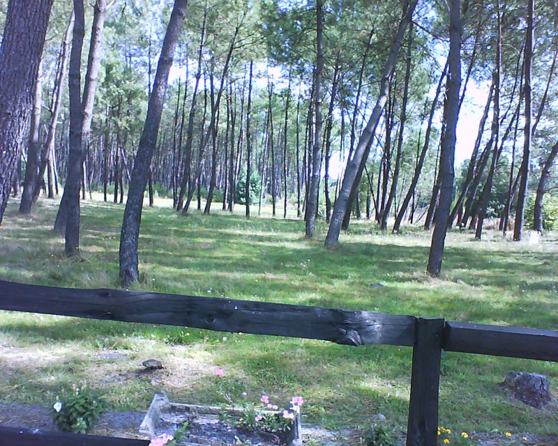 L'Aire Naturelle La Réserve Aquitaine - Garrosse visuel 2/4