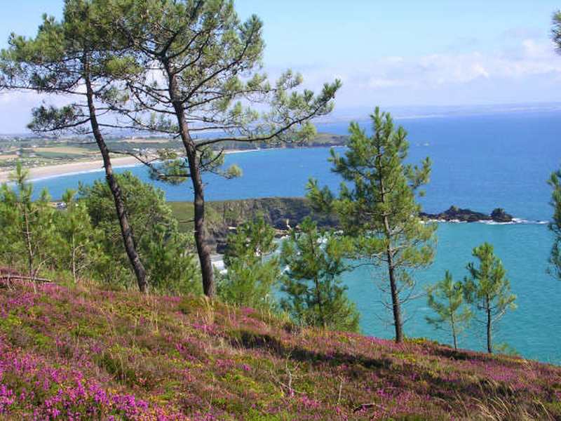 L'Armorique Bretagne - Telgruc-sur-Mer visuel 5/10 L'Armorique Bretagne - Telgruc-sur-Mer visuel 5/10