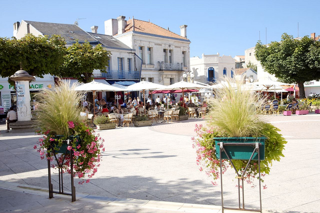ALICAT Poitou-Charentes - Saint-Georges-de-Didonne visuel 5/7 ALICAT Poitou-Charentes - Saint-Georges-de-Didonne visuel 5/7
