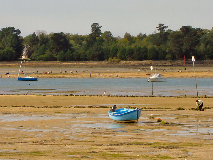 Le Bois d'Amour Bretagne - L'île-Tudy visuel 5/5 Le Bois d'Amour Bretagne - L'île-Tudy visuel 5/5