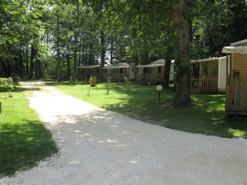 Le Bois de Coderc Aquitaine - Antonne-et-Trigonant visuel 6/7 Le Bois de Coderc Aquitaine - Antonne-et-Trigonant visuel 6/7