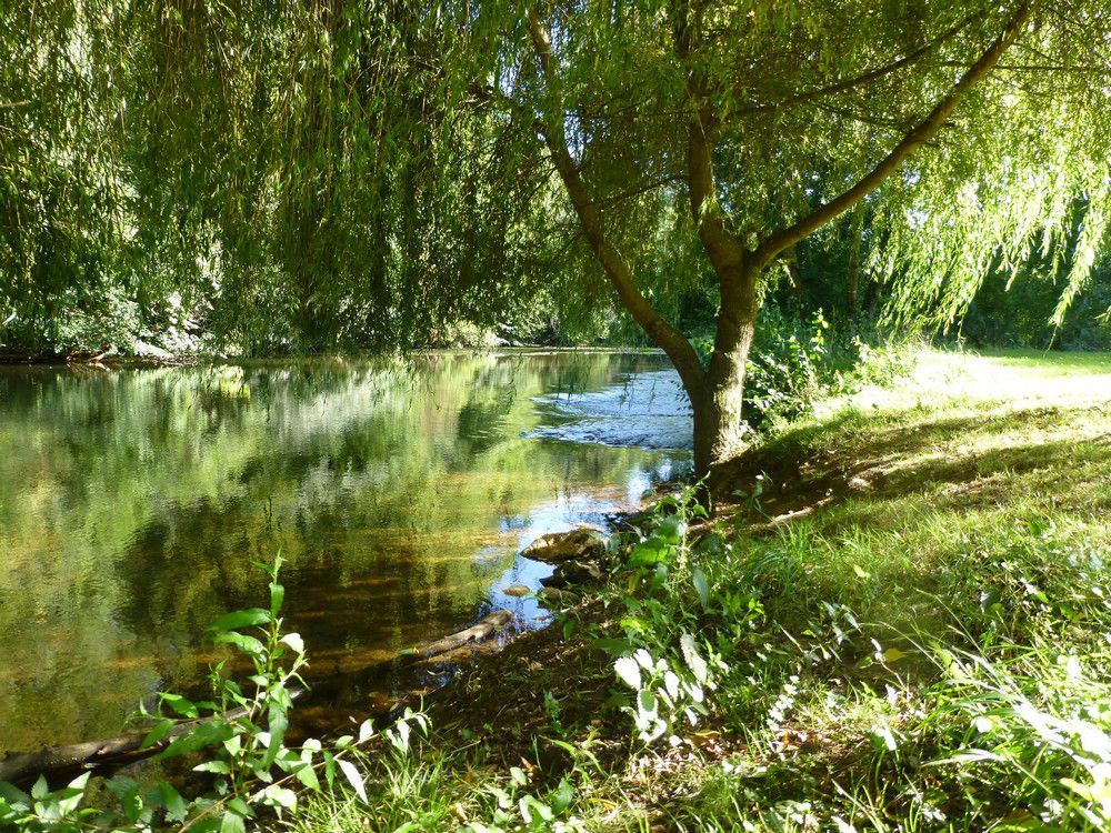 Le Bois de Coderc Aquitaine - Antonne-et-Trigonant visuel 2/7 Le Bois de Coderc Aquitaine - Antonne-et-Trigonant visuel 2/7
