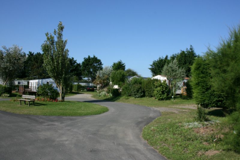 LE BOIS DE PINS Picardië - Cayeux-sur-Mer visuel 2/10 LE BOIS DE PINS Picardië - Cayeux-sur-Mer visuel 2/10