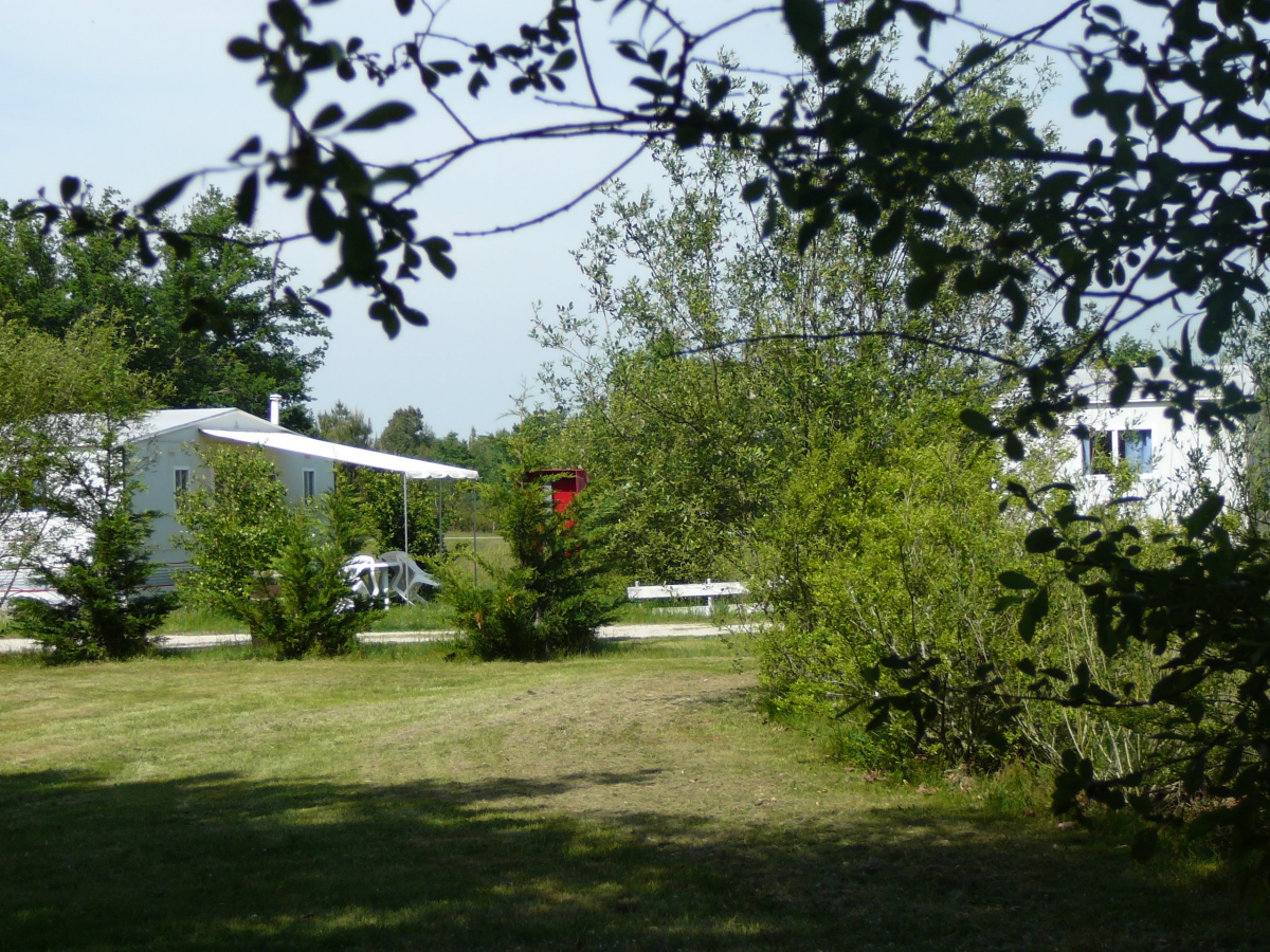 Le Bonheur est dans le pré Aquitaine - Vendays-Montalivet visuel 3/6 Le Bonheur est dans le pré Aquitaine - Vendays-Montalivet visuel 3/6