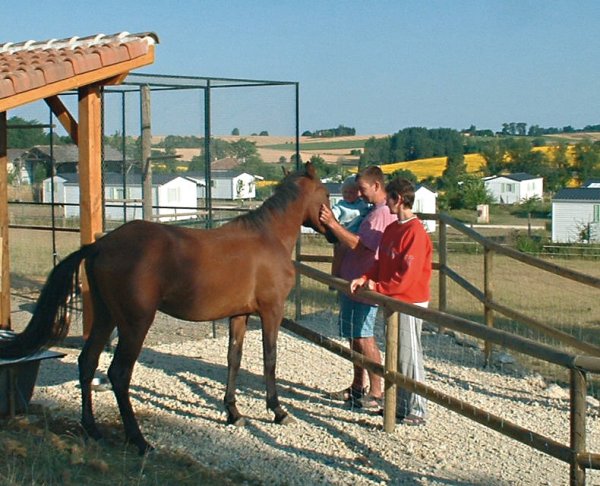 Le Camp de Florence Midi-Pyreneën - La Romieu visuel 5/10 Le Camp de Florence Midi-Pyreneën - La Romieu visuel 5/10