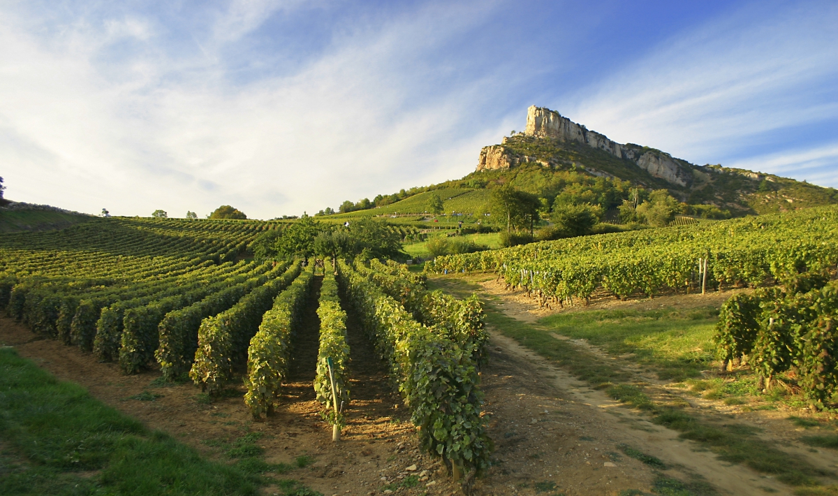Le Château de l'Epervière Bourgogne - Gigny-sur-Saône visuel 11/11 Le Château de l'Epervière Bourgogne - Gigny-sur-Saône visuel 11/11