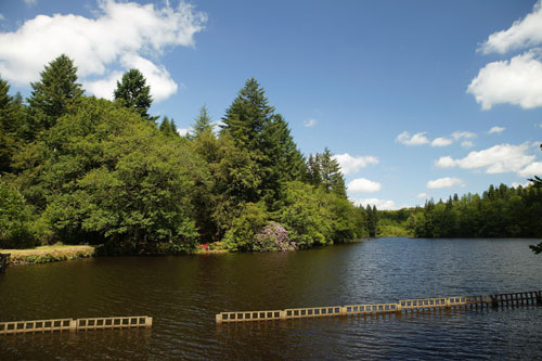 Le Château de Leychoisier Limouqin - Bonnac-la-Côte visuel 5/10 Le Château de Leychoisier Limouqin - Bonnac-la-Côte visuel 5/10