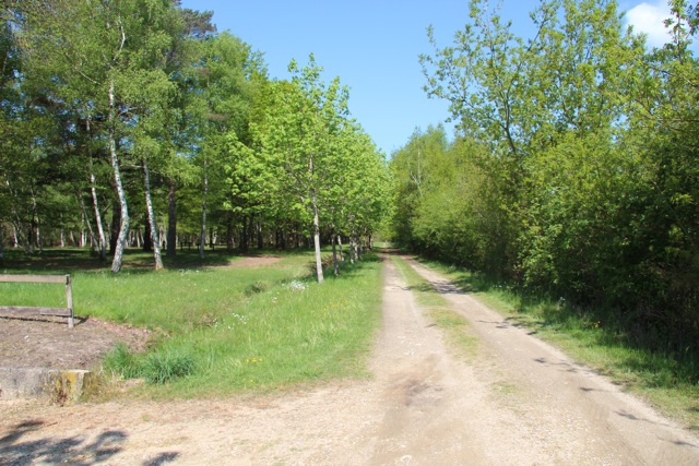 Le Chêne Groot-Centrum - Pruniers-en-Sologne visuel 2/6 Le Chêne Groot-Centrum - Pruniers-en-Sologne visuel 2/6