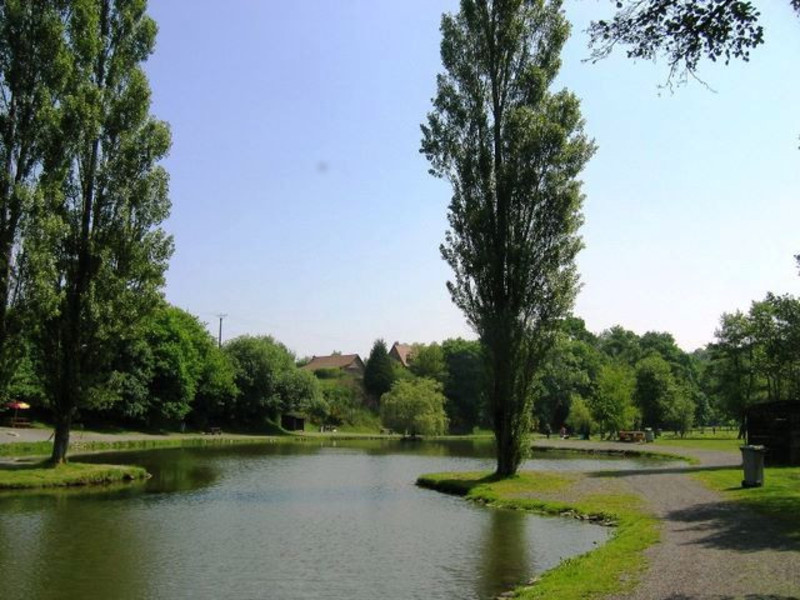 Le Clos de Balleroy Laag-Normandië - Schietbaan visuel 2/7 Le Clos de Balleroy Laag-Normandië - Schietbaan visuel 2/7