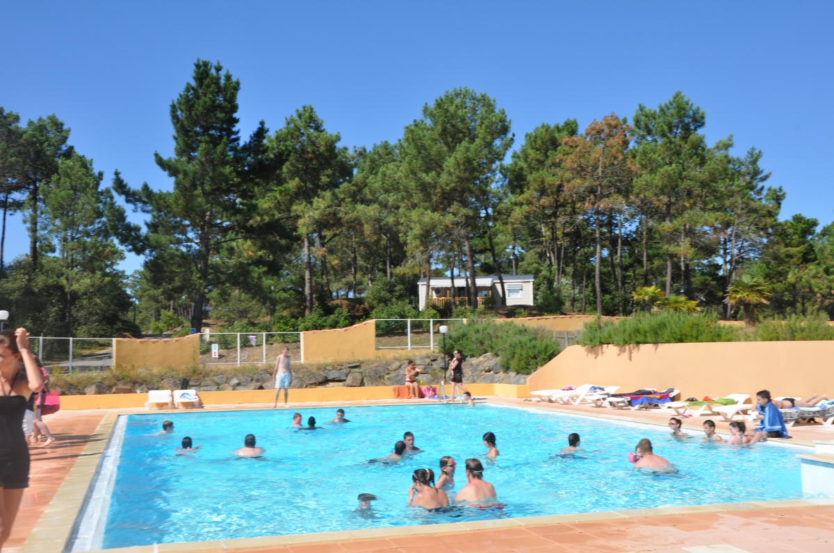 Le Domaine des Pins Pays de Loire - Saint-Hilaire-de-Riez visuel 8/11 Le Domaine des Pins Pays de Loire - Saint-Hilaire-de-Riez visuel 8/11