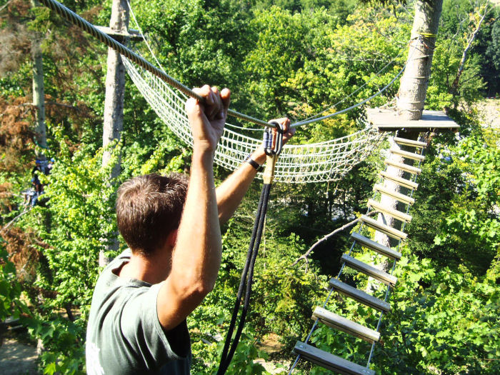 Le Domaine des Thômeaux Groot-Centrum - Mosnes visuel 4/5 Le Domaine des Thômeaux Groot-Centrum - Mosnes visuel 4/5