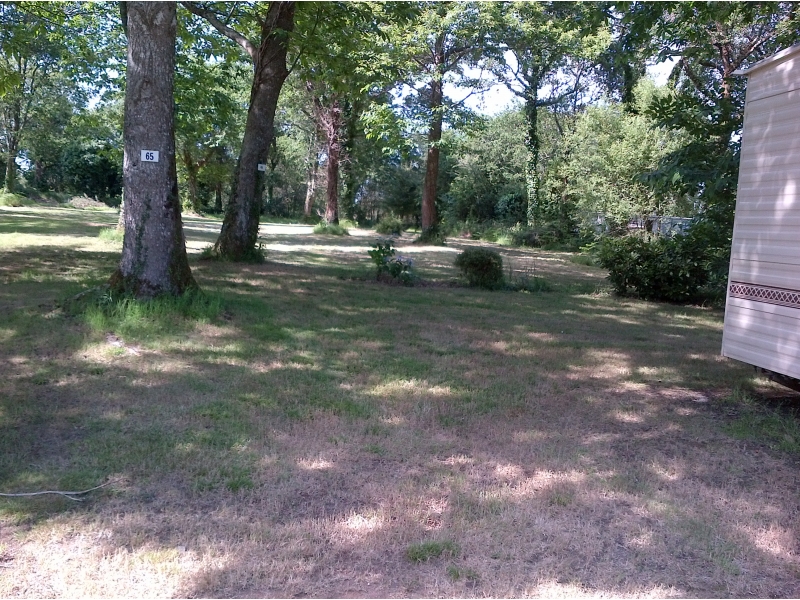 Le Fleuri Bretagne - Trégunc visuel 4/5 Le Fleuri Bretagne - Trégunc visuel 4/5