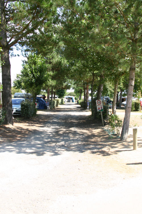 Le Littoral Pays de Loire - Brem sur Mer visuel 7/10 Le Littoral Pays de Loire - Brem sur Mer visuel 7/10