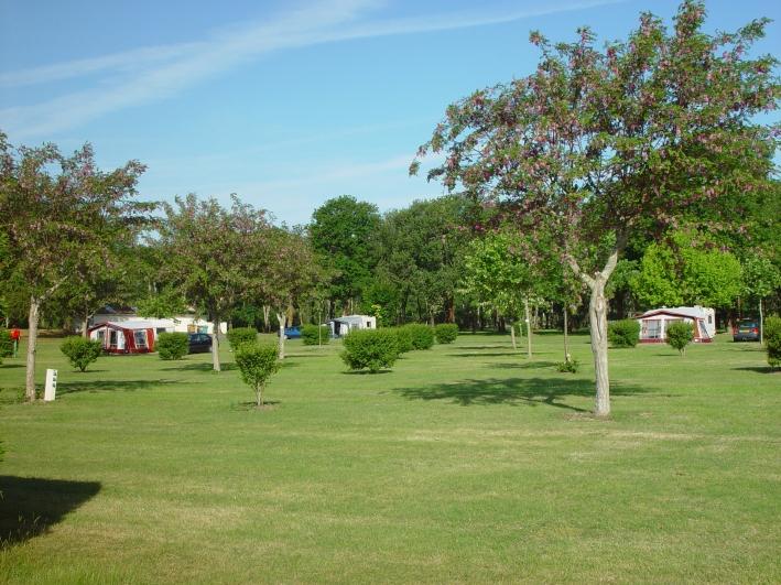 Le Logis Du Breuil Poitou-Charentes - Sint-Augustinus visuel 6/10 Le Logis Du Breuil Poitou-Charentes - Sint-Augustinus visuel 6/10