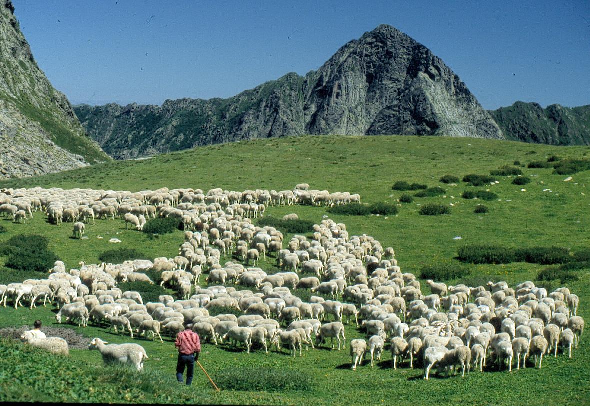 Le Malazeou Midi-Pyreneën - Ax-les-Thermes visuel 12/16 Le Malazeou Midi-Pyreneën - Ax-les-Thermes visuel 12/16