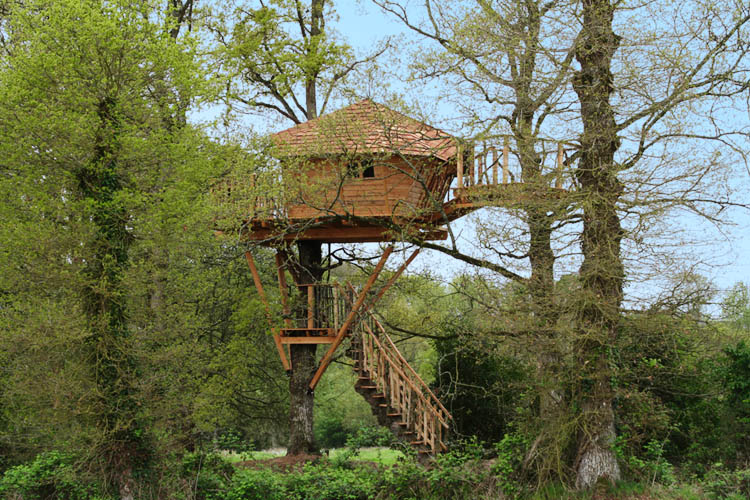 Le Manoir de l'Alleu Bretagne - La Chapelle-Chaussée visuel 5/10 Le Manoir de l'Alleu Bretagne - La Chapelle-Chaussée visuel 5/10