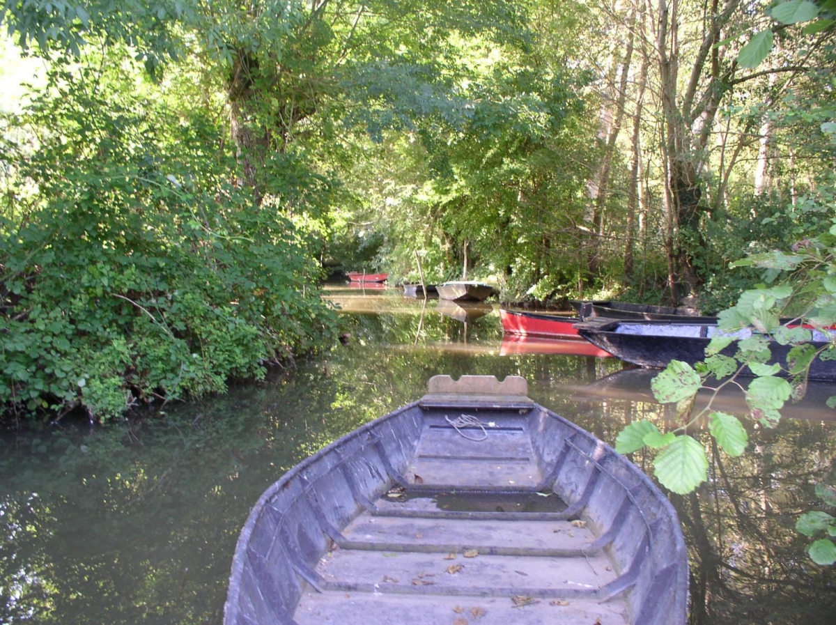 Le Martin Pêcheur Poitou-Charentes - Magné visuel 7/9 Le Martin Pêcheur Poitou-Charentes - Magné visuel 7/9