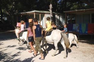 Le Mas Provence-Alpes-Côte d'Azur - Martigues visuel 11/11 Le Mas Provence-Alpes-Côte d'Azur - Martigues visuel 11/11