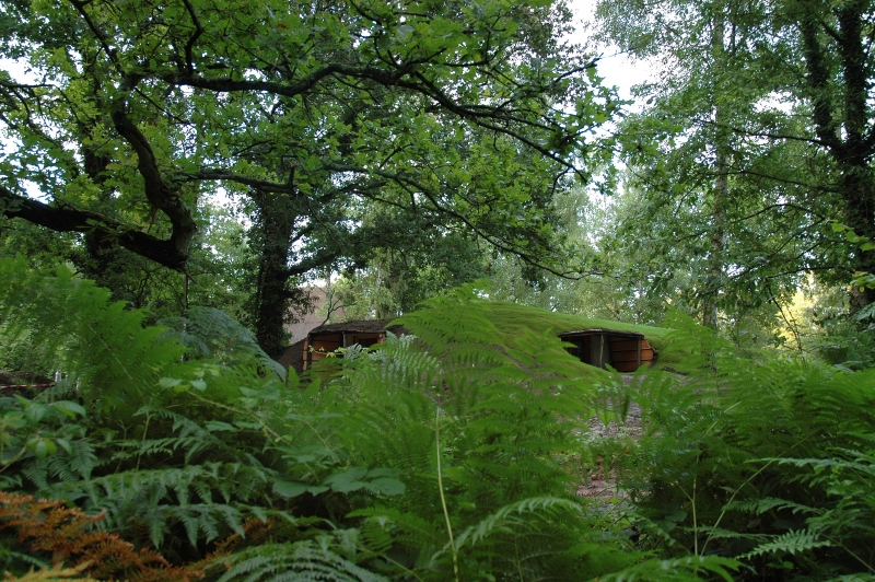 Le Nid dans les Bruyères Picardië - Fère-en-Tardenois visuel 2/10 Le Nid dans les Bruyères Picardië - Fère-en-Tardenois visuel 2/10