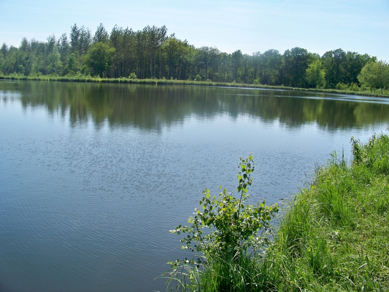 Le Nid dans les Bruyères Picardië - Fère-en-Tardenois visuel 4/10 Le Nid dans les Bruyères Picardië - Fère-en-Tardenois visuel 4/10