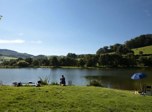 Le Paluet Bourgogne - Matour visuel 7/9 Le Paluet Bourgogne - Matour visuel 7/9