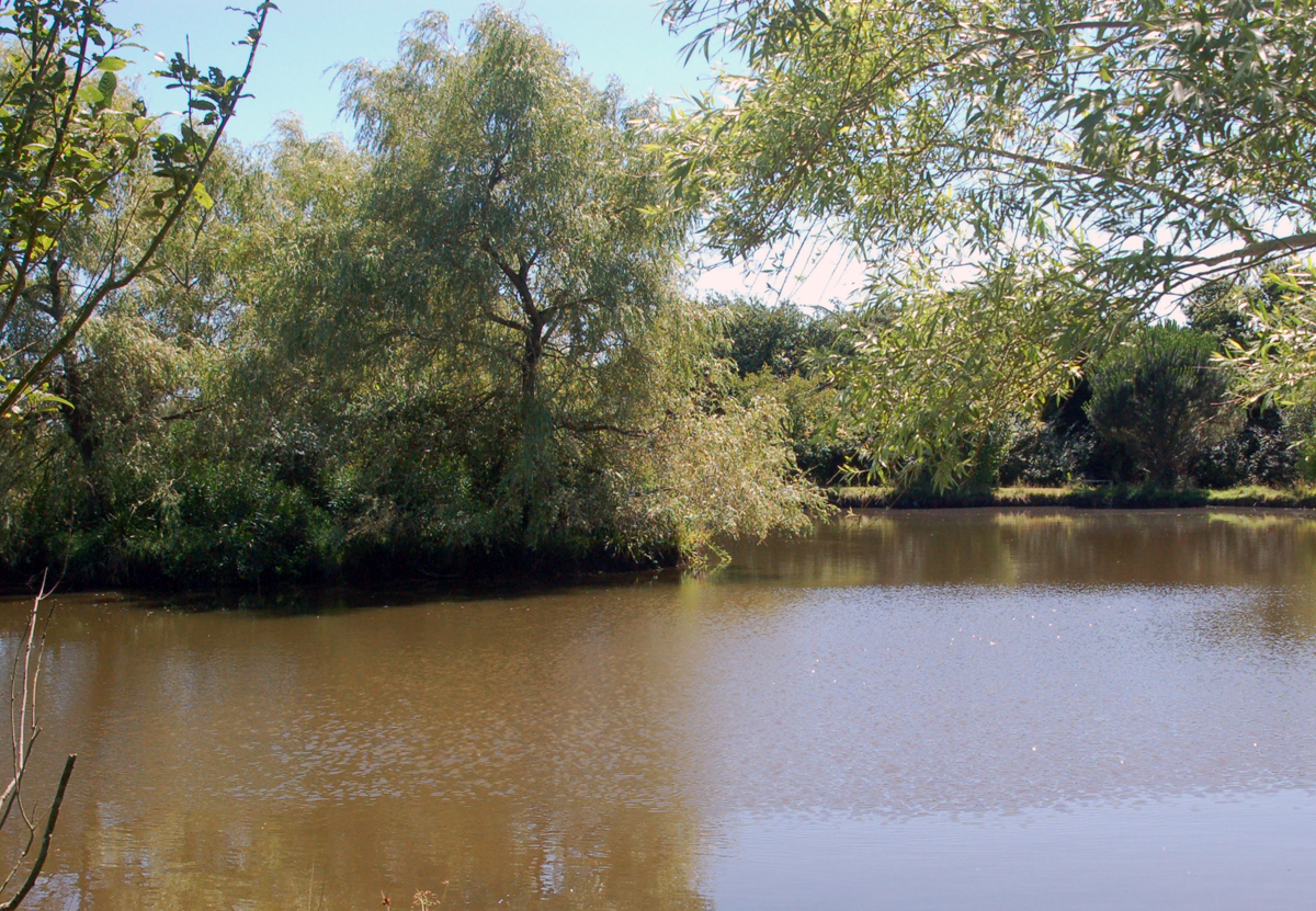 Le Parc Sainte-Brigitte Pays de Loire - La Turballe visuel 6/10 Le Parc Sainte-Brigitte Pays de Loire - La Turballe visuel 6/10