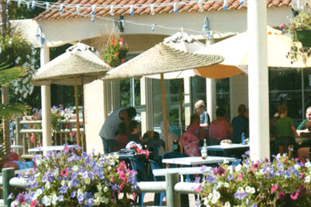 DOMAINE LE PAS OPTON Pays de Loire - De Fenouiller visuel 1/1 DOMAINE LE PAS OPTON Pays de Loire - De Fenouiller visuel 1/1