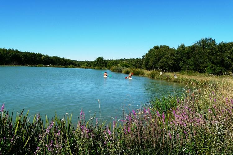 Le Petit Arlane Domaine Naturiste - Provence-Alpes-Côte d'Azur - Valensole visuel 9/10 Le Petit Arlane Domaine Naturiste - Provence-Alpes-Côte d'Azur - Valensole visuel 9/10