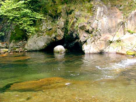 le P'tit Bonheur Languedoc-Roussillon - Escaro visuel 5/5 le P'tit Bonheur Languedoc-Roussillon - Escaro visuel 5/5