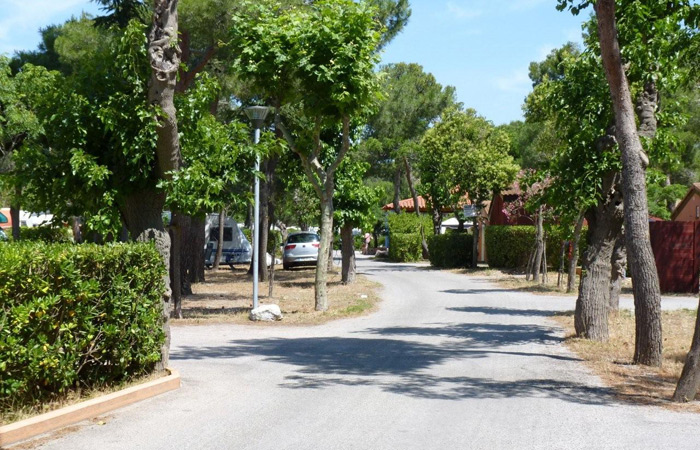 Le Roussillonnais Languedoc-Roussillon - Argelès-sur-Mer visuel 5/7 Le Roussillonnais Languedoc-Roussillon - Argelès-sur-Mer visuel 5/7