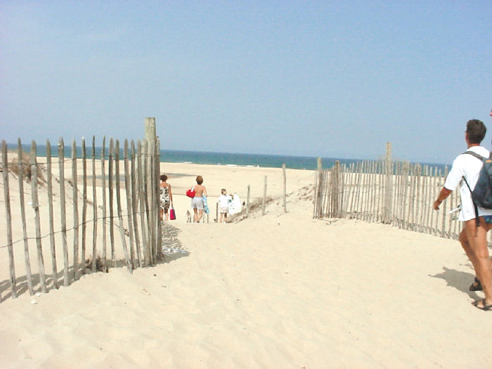 Le Saint Martin Aquitaine - Moliets-et-Maa visuel 9/10 Le Saint Martin Aquitaine - Moliets-et-Maa visuel 9/10
