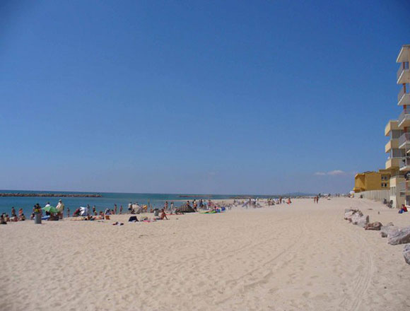 Le Saint Maurice Languedoc-Roussillon - Palavas-les-Flots visuel 11/11 Le Saint Maurice Languedoc-Roussillon - Palavas-les-Flots visuel 11/11